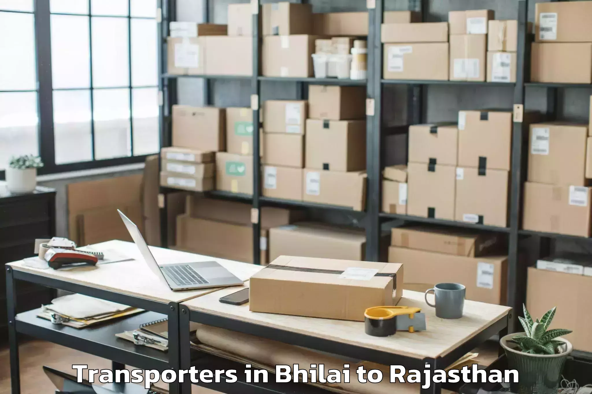 Comprehensive Bhilai to Abhaneri Transporters